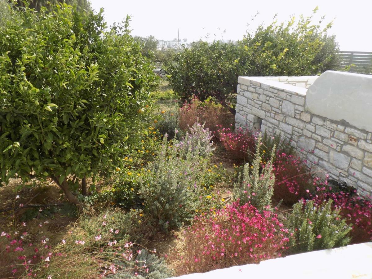 Villa Evilia Márpissa Exterior foto
